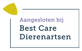 Best Care Dierenartsen